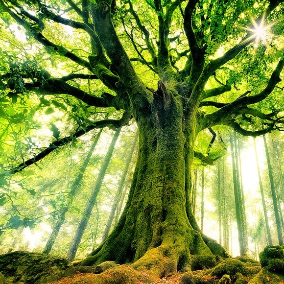 Meet your Posher, Darlene - Picture 11 of 14